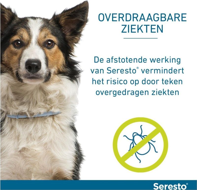 Seresto - Anti Teken- en Vlooienband Hond - 38 cm - 1 stuk