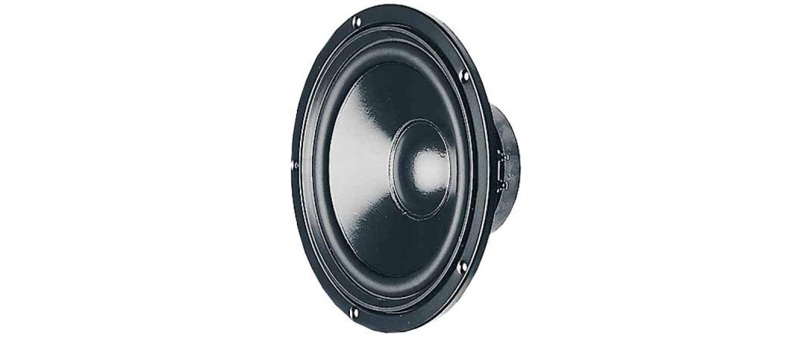 HiFi-Tieftöner W 200 S8