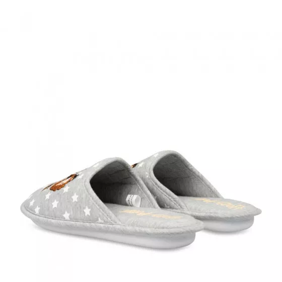 Chaussons GRIS HARRY POTTER