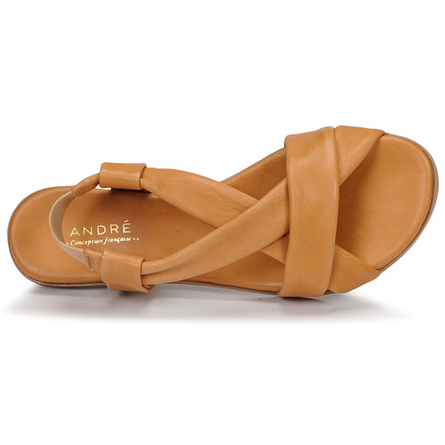André - BABACO - Camel