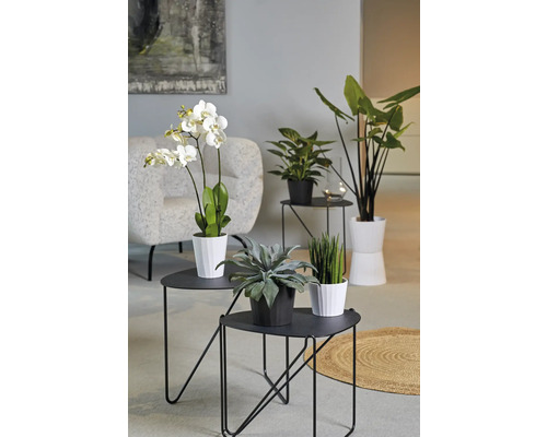 Orchideeënvaas Soendgen Umea keramiek Ø 13 cm H 15 cm wit mat