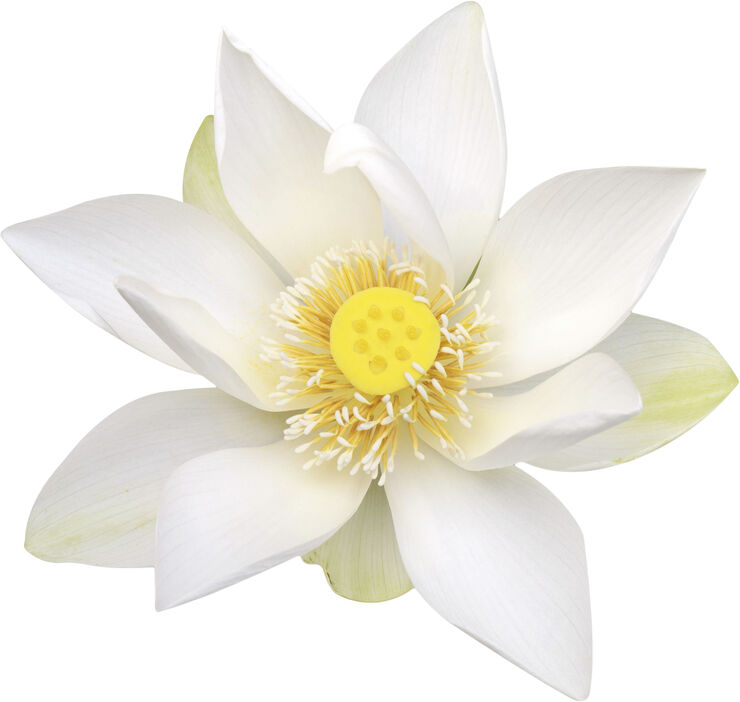 Rituals The Ritual of Karma Detergent Delicate