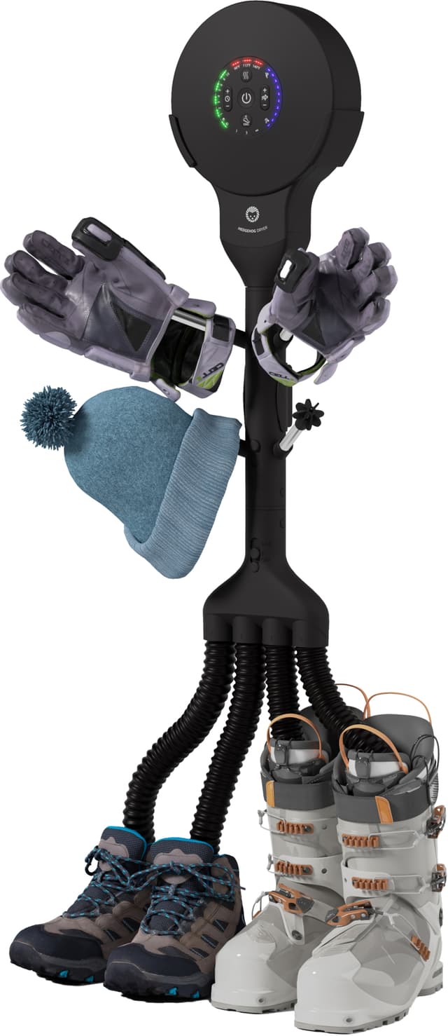 Hedgehog Buddy 4 Ionic skotørrer H-WB4-BIO (sort)