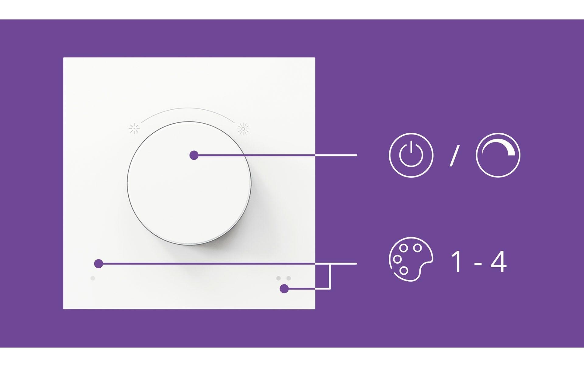 WiZ Netzwerk-Switch »Dial«