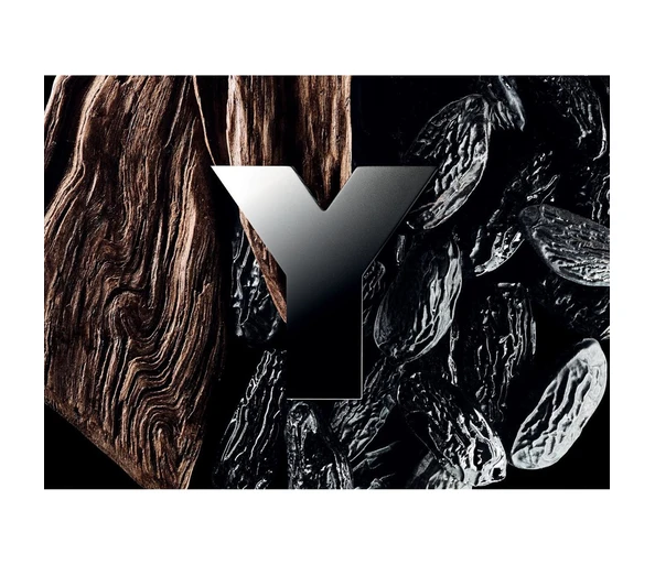 Yves Saint Laurent Y Eau de Parfum
