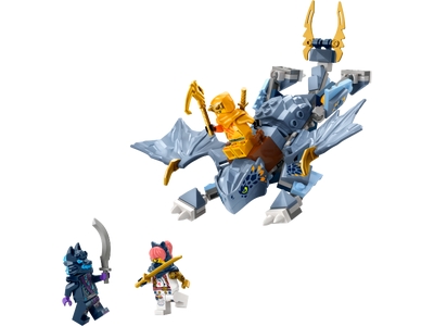LEGO Jonge draak Riyu (71810)