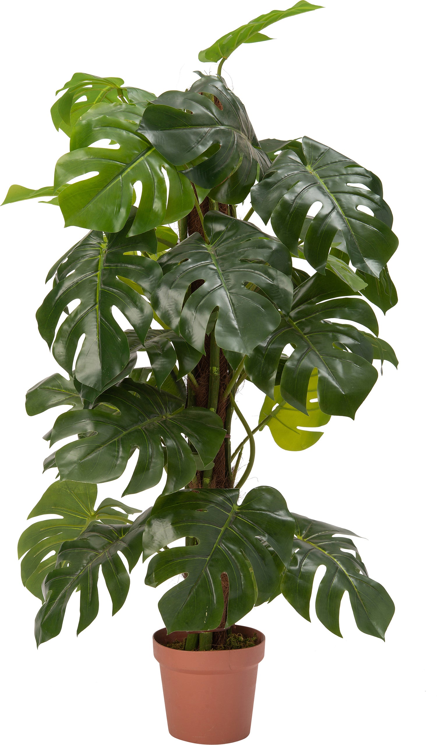 Intratuin kunstplant Monstera 55 x 55 x 140 cm