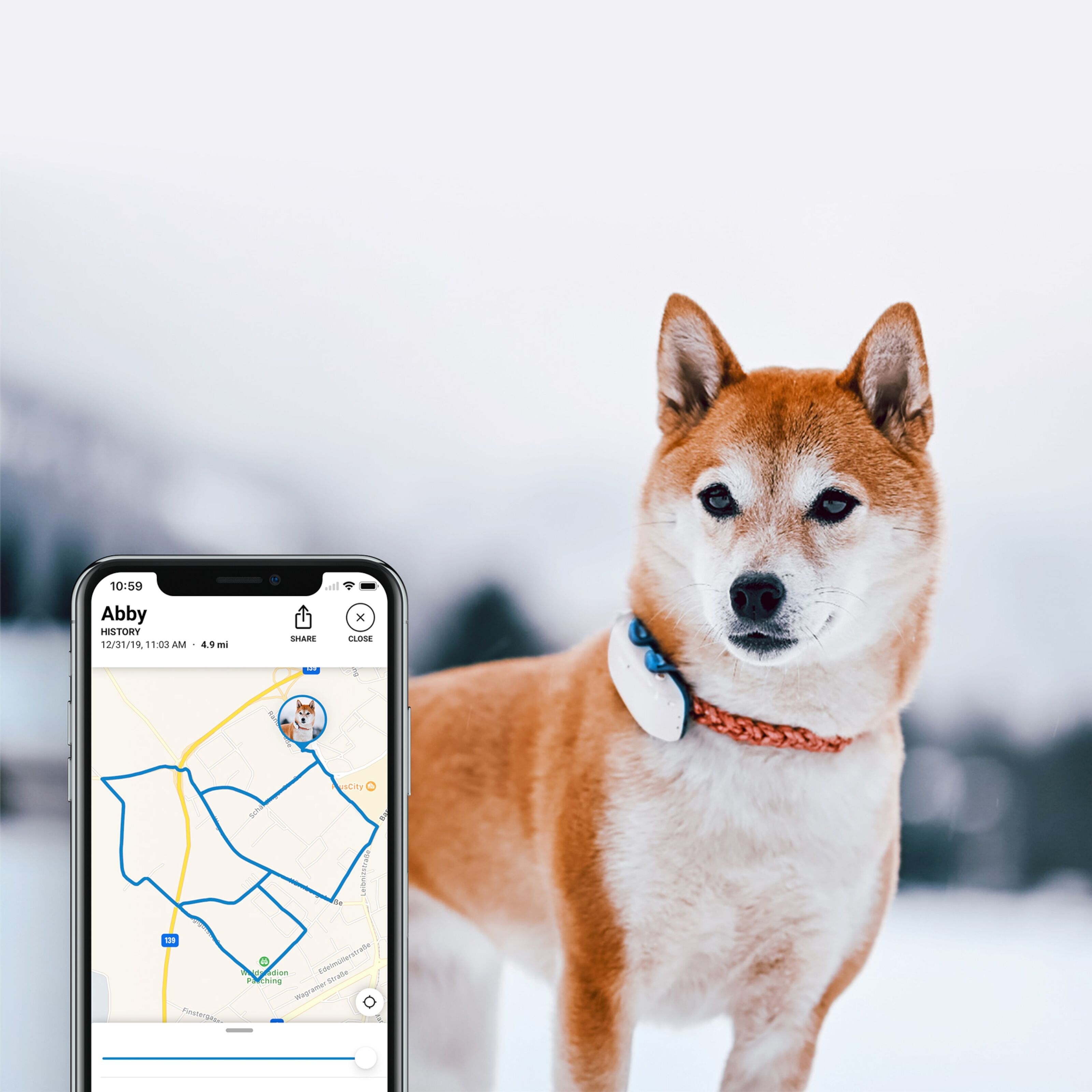 Tractive GPS DOG 4 Hundesporer og aktivitetsovervåker
