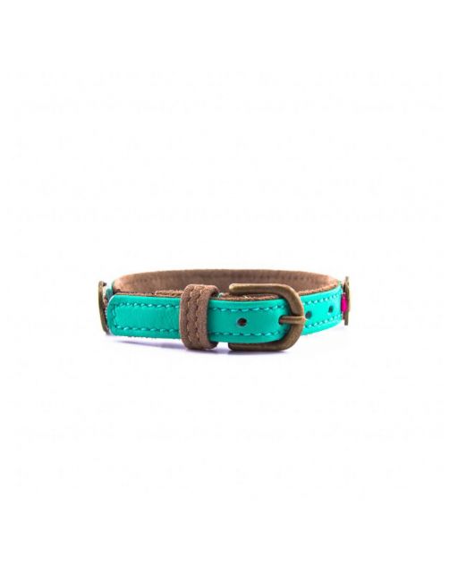 Dwam Coco Kattenhalsband - Kattenhalsband - 22-27x1 cm Multi-Color