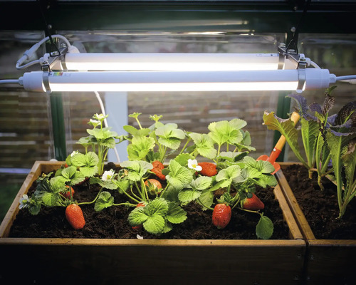 Palram plantenlamp – Canopia Brighton LED kweeklamp, in hoogte verstelbaar