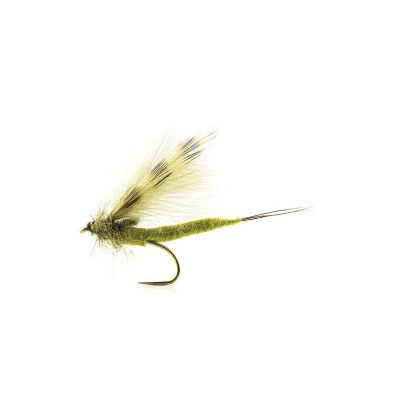 Mouche Devaux Emergente Jbmai 04