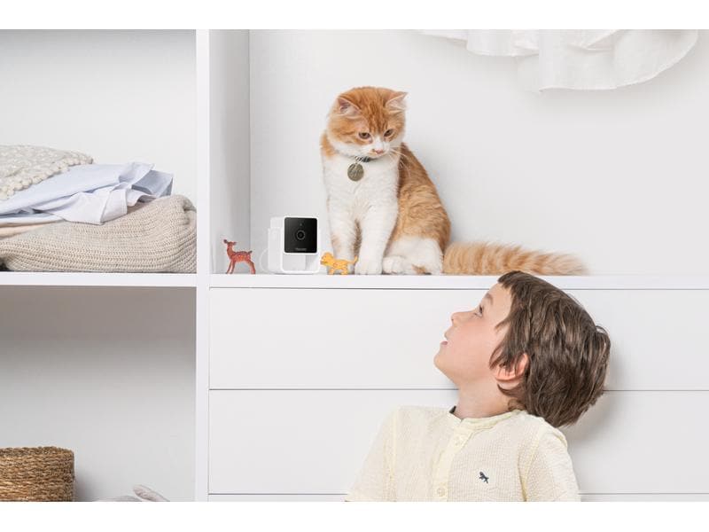 Petcube Haustierkamera Pet Cube Haustierkamera mit 2-Wege-Audio und Nachtsicht