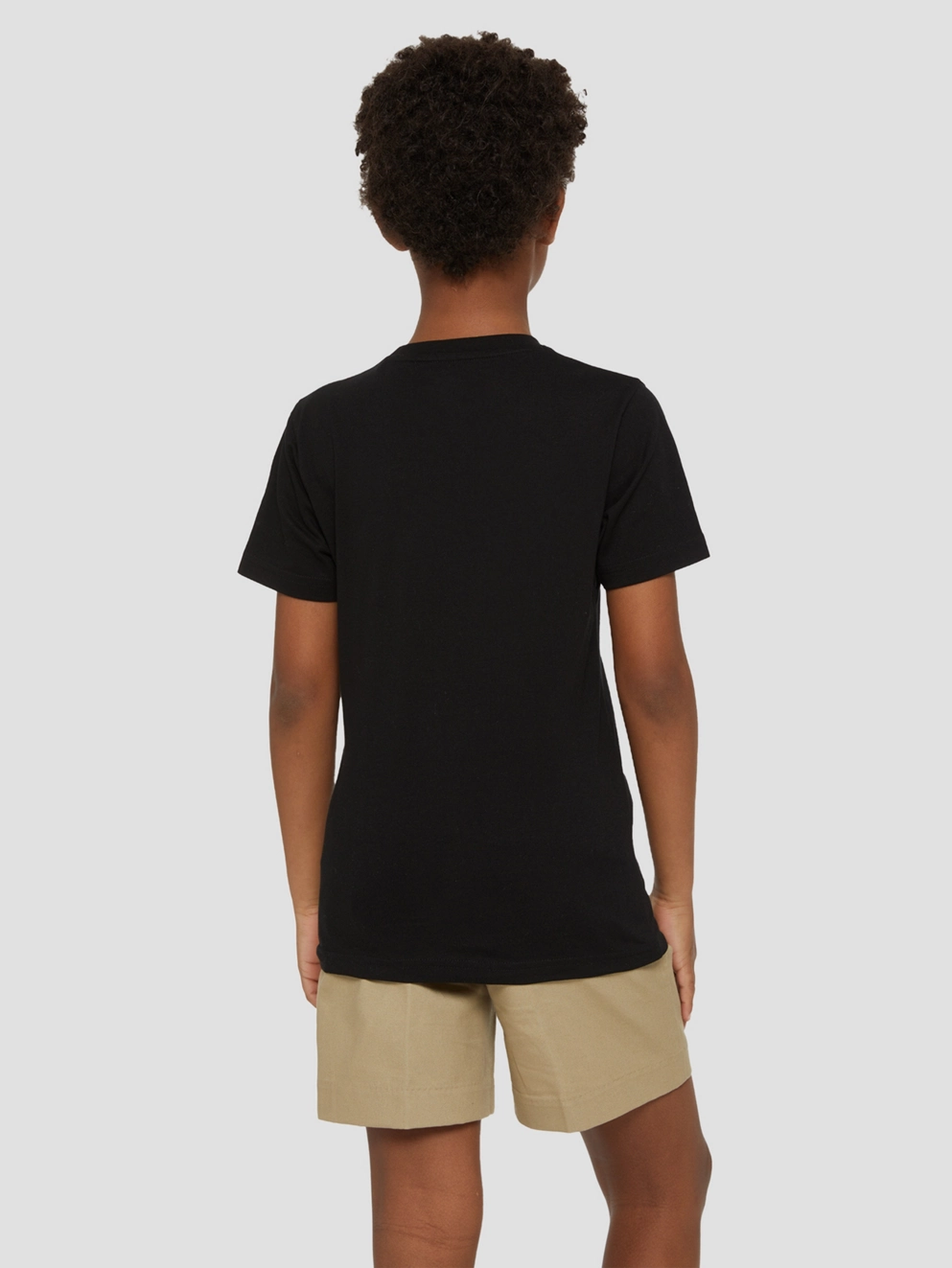 Dickies Mapleton T-Shirt knit black