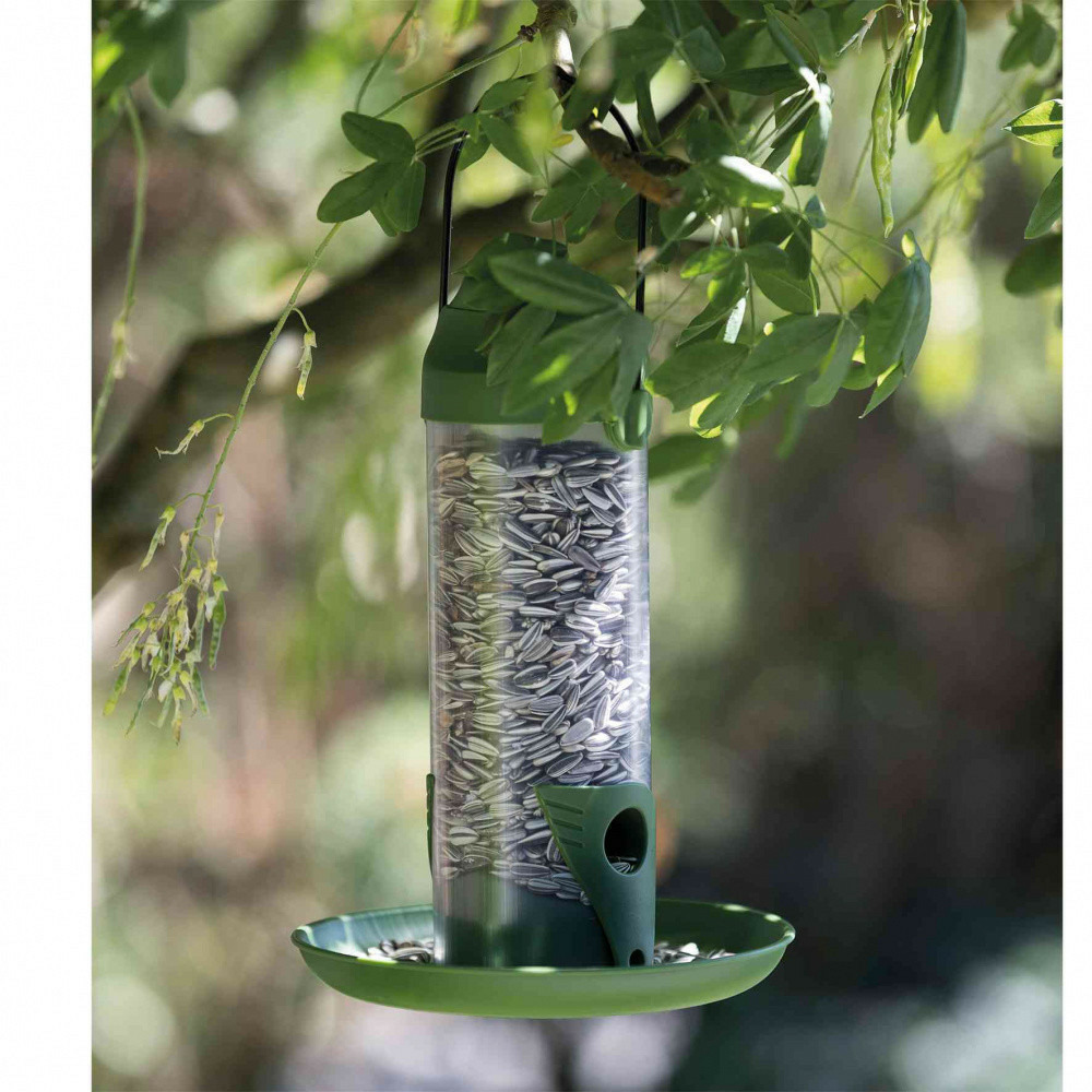 Mangeoire extérieure, 500 ml / 22 cm pour oiseaux