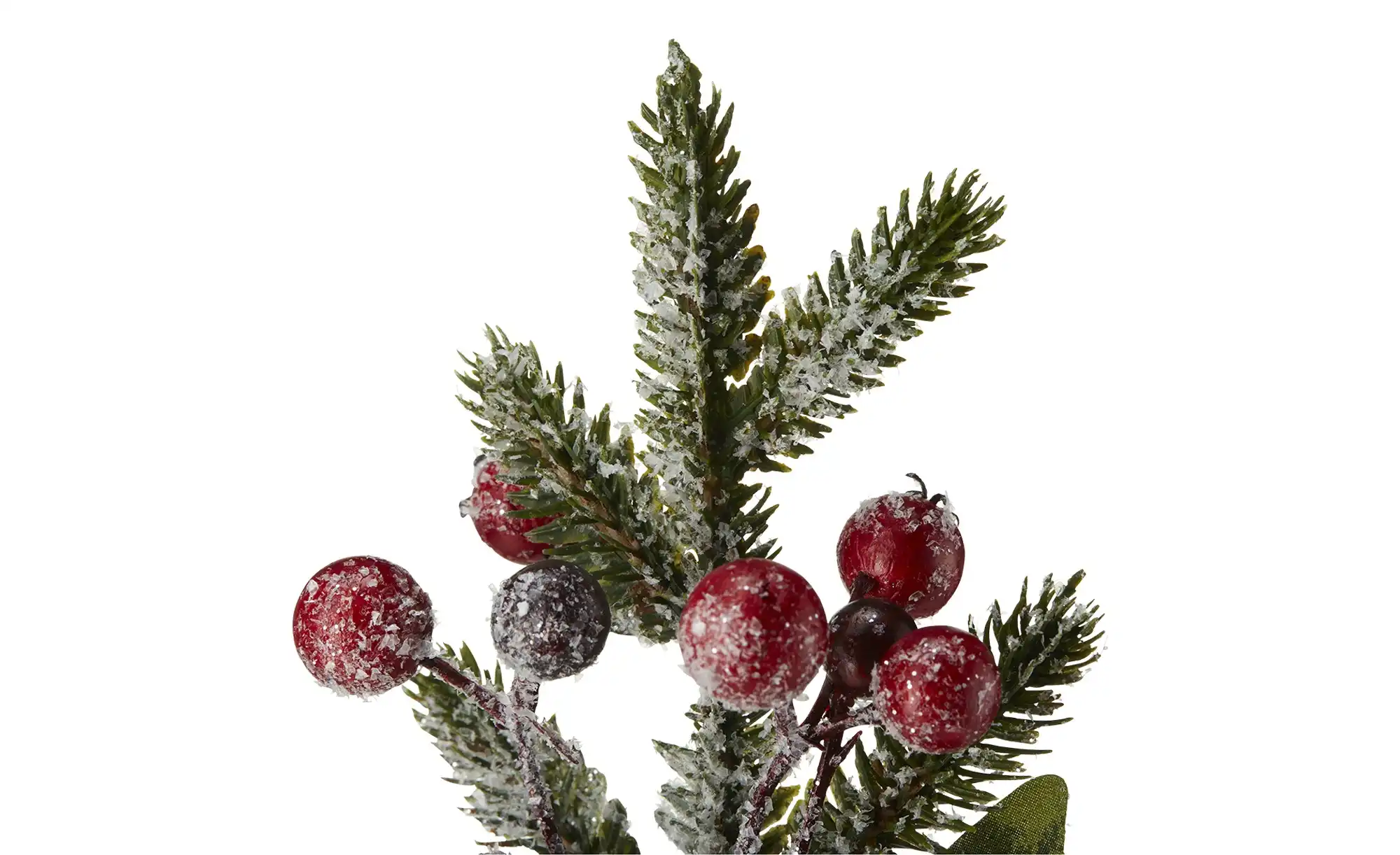 Tannenzweig mit Beeren