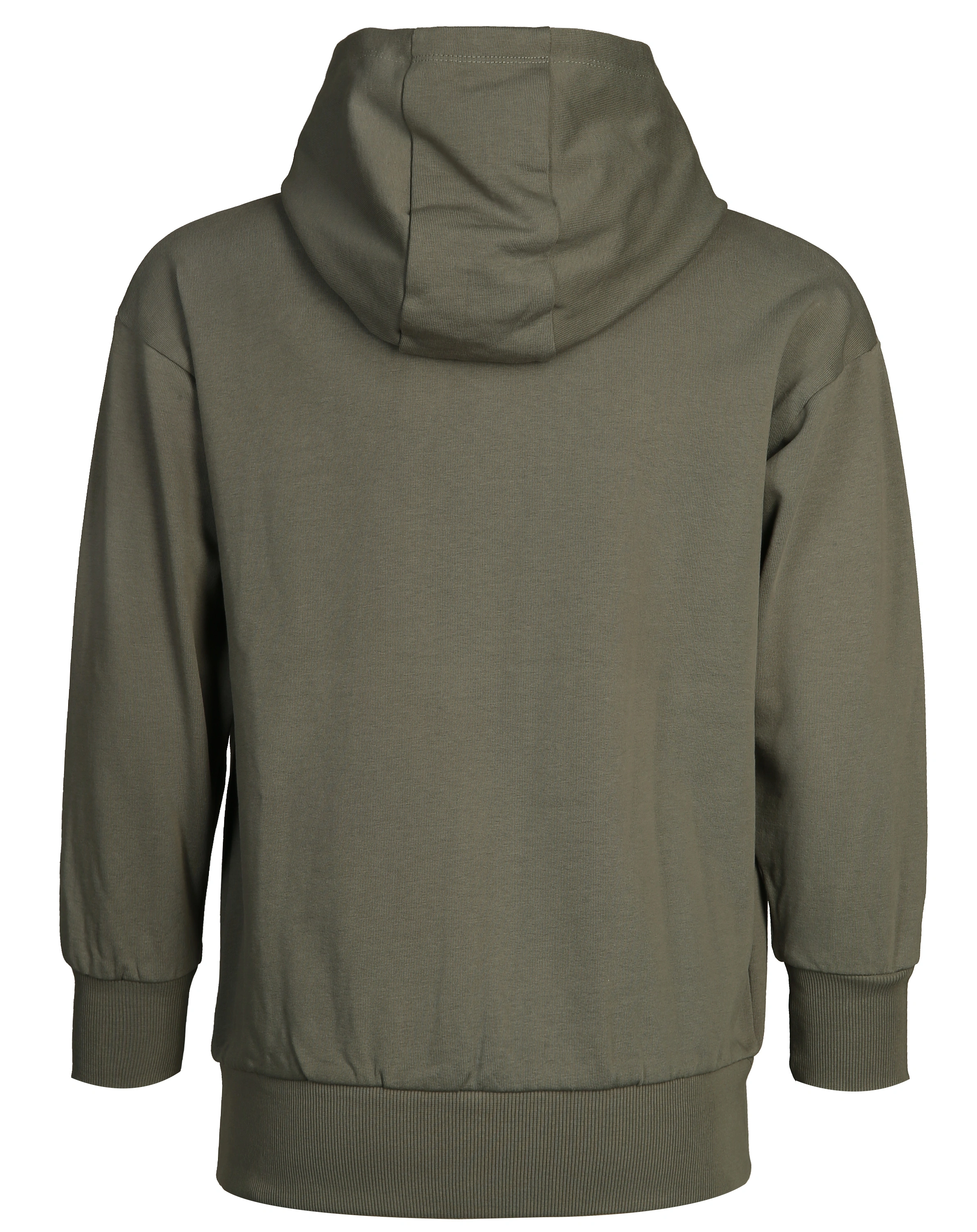 Kapuzen-Sweatshirt SAYMON in kale green