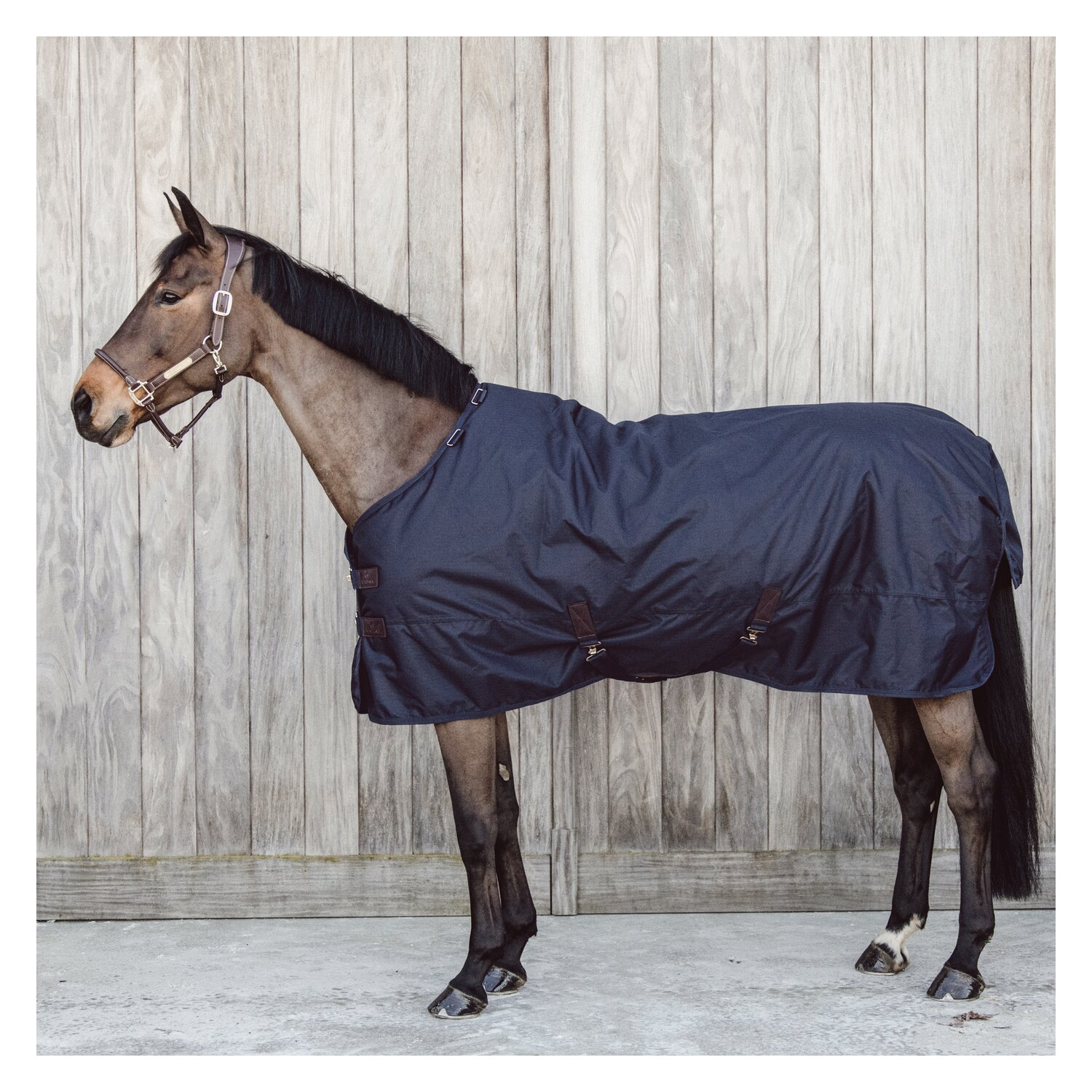 KENTUCKY Winterdecke All Weather Waterproof Classic 150 g - navy