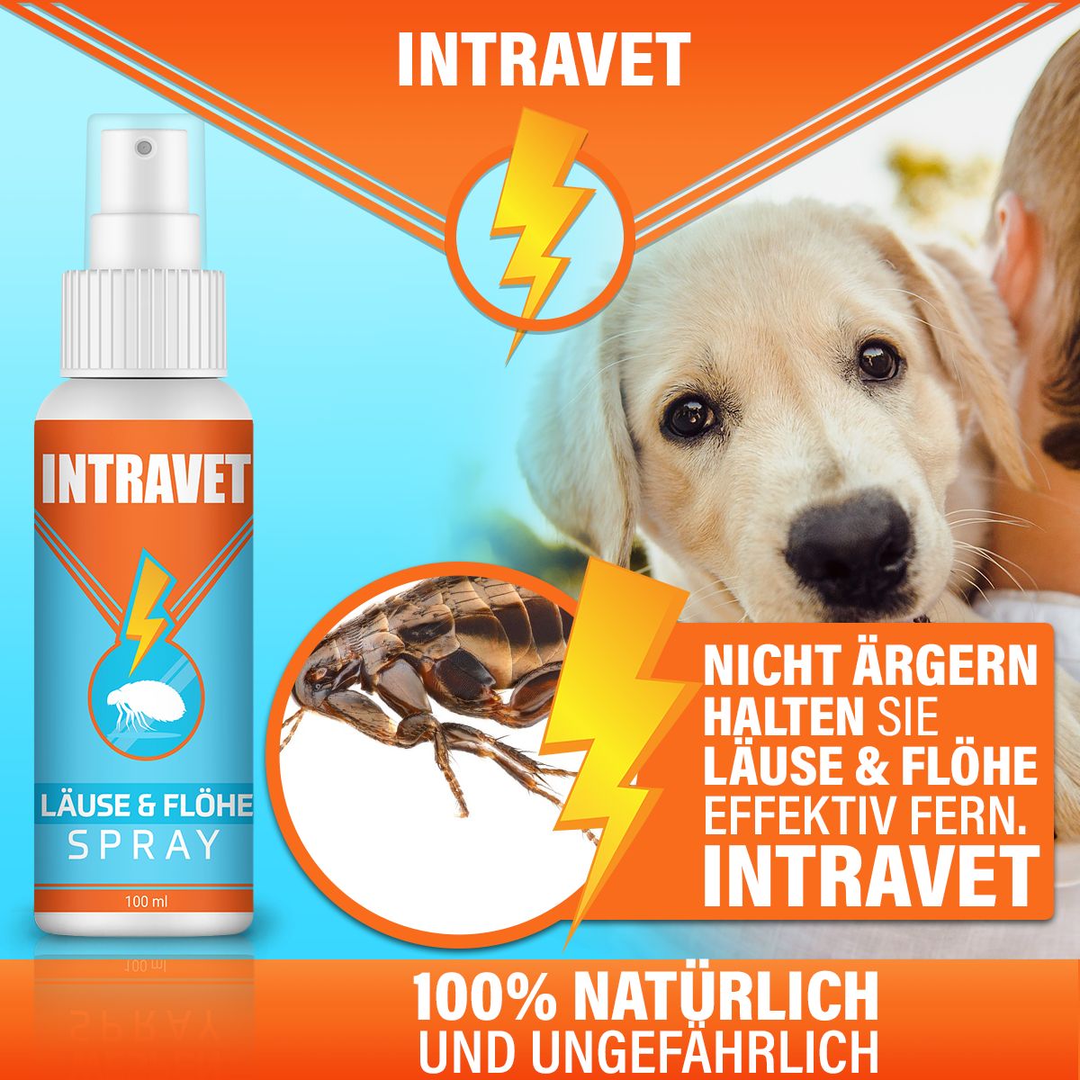 Saint Nutrition® Intravet | Läuse & Flöhe Spray | Hund & Katze