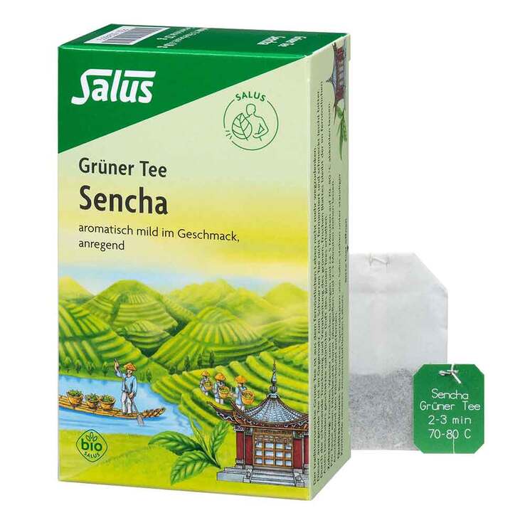 Grüner Tee bio Salus Filterbeutel, 15 St