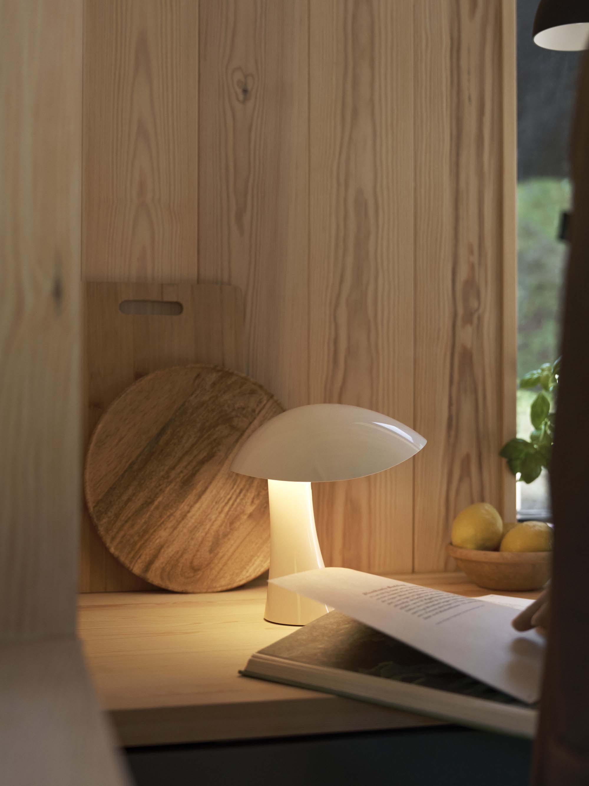 Kleine dimbare LED tafellamp Rumee 220