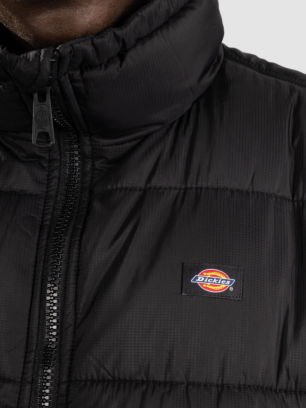 Dickies Waldenburg Jacket black
