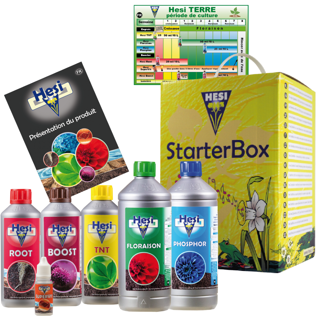 Starterbox terre