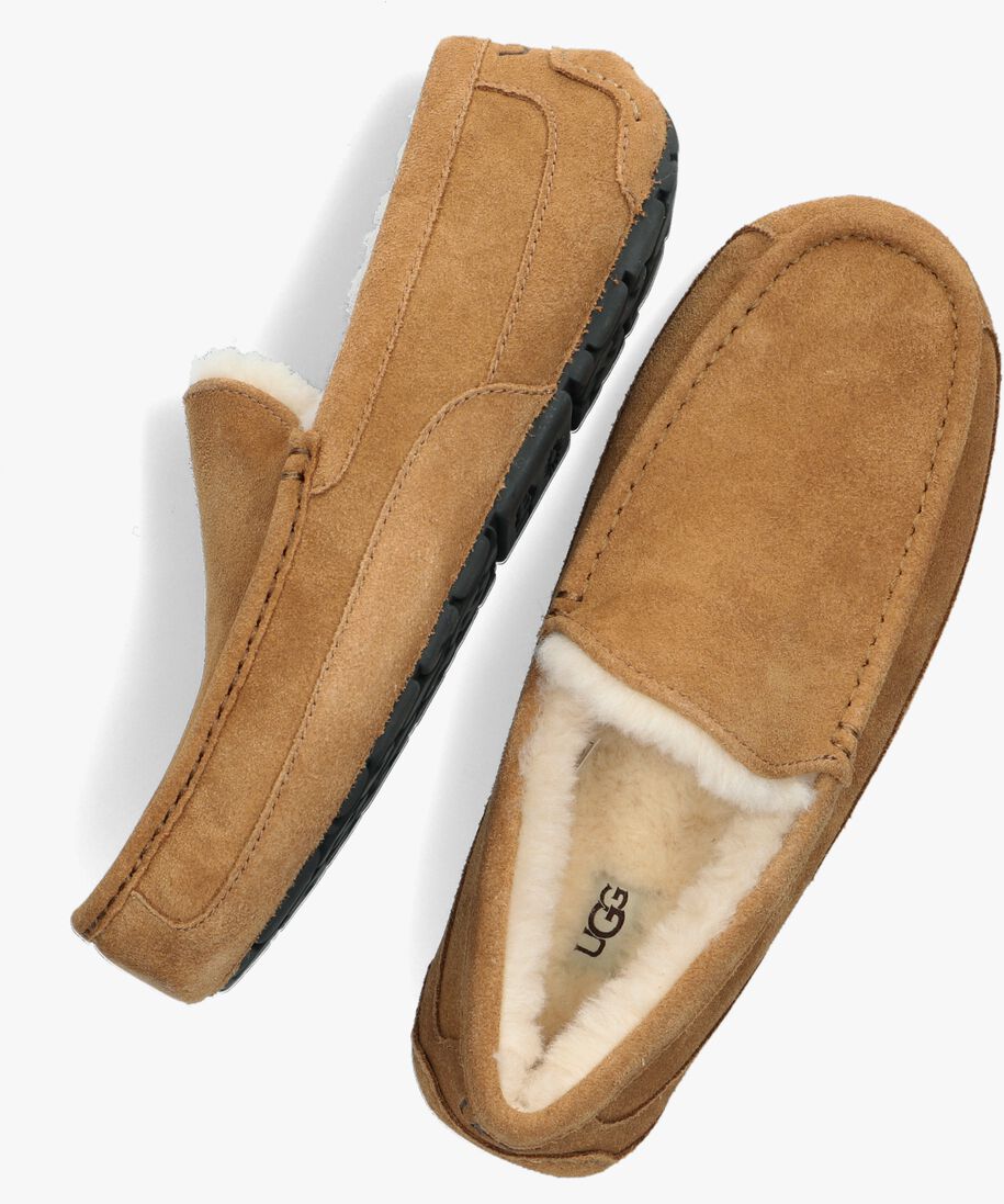 cognac ugg pantoffels ascot