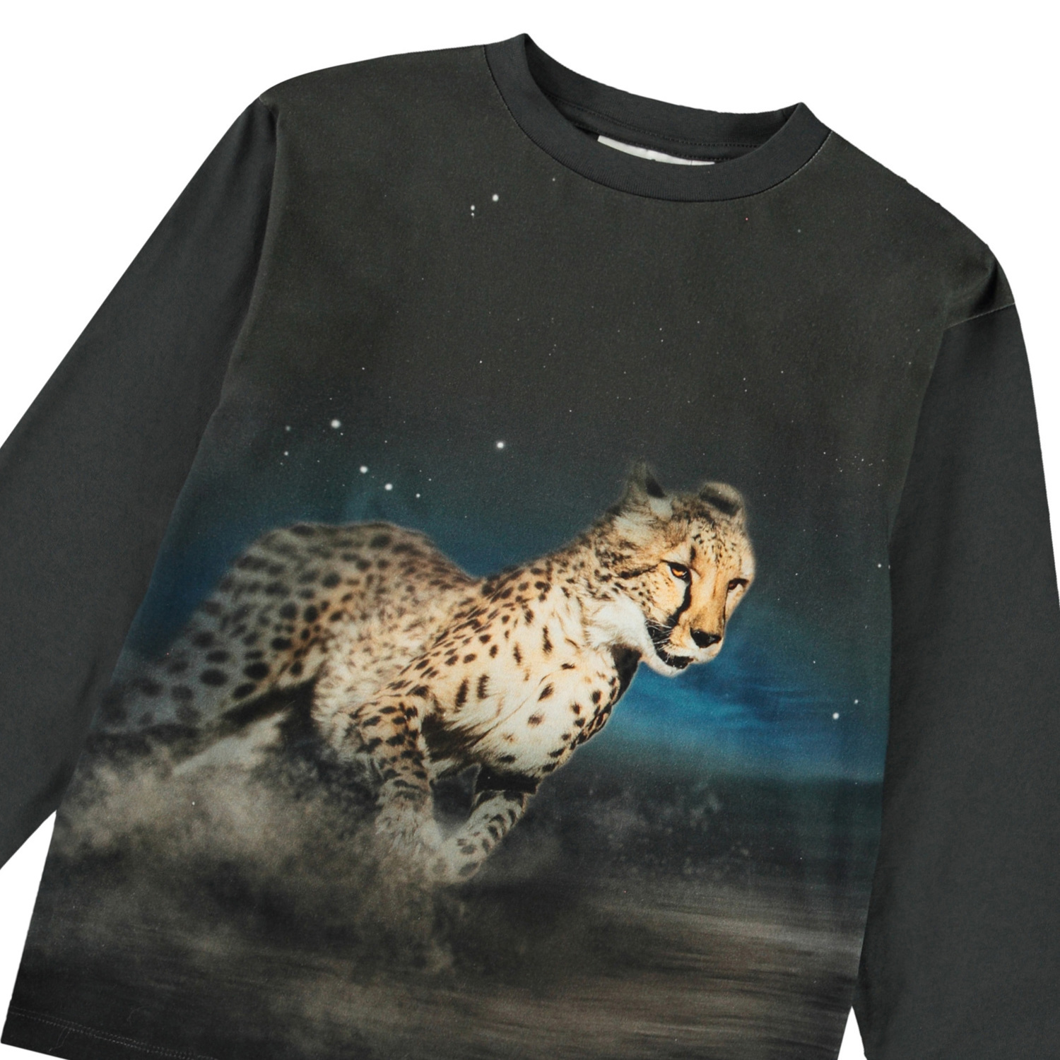Rube - Cheetah Run