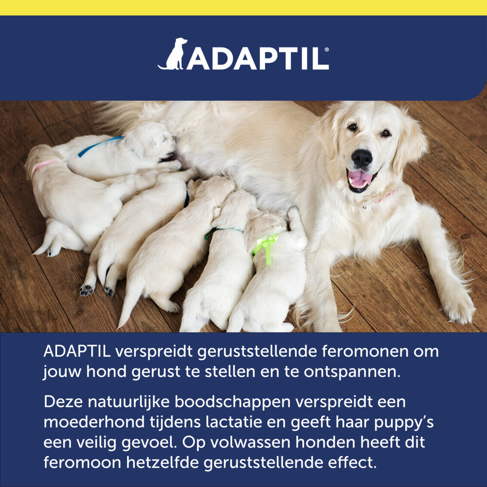 Adaptil Transport Spray 20 ml