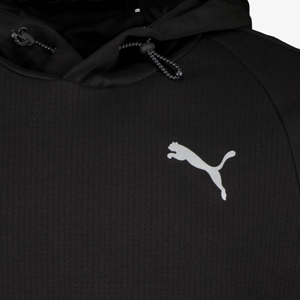 Puma Evostripe heren hoodie zwart