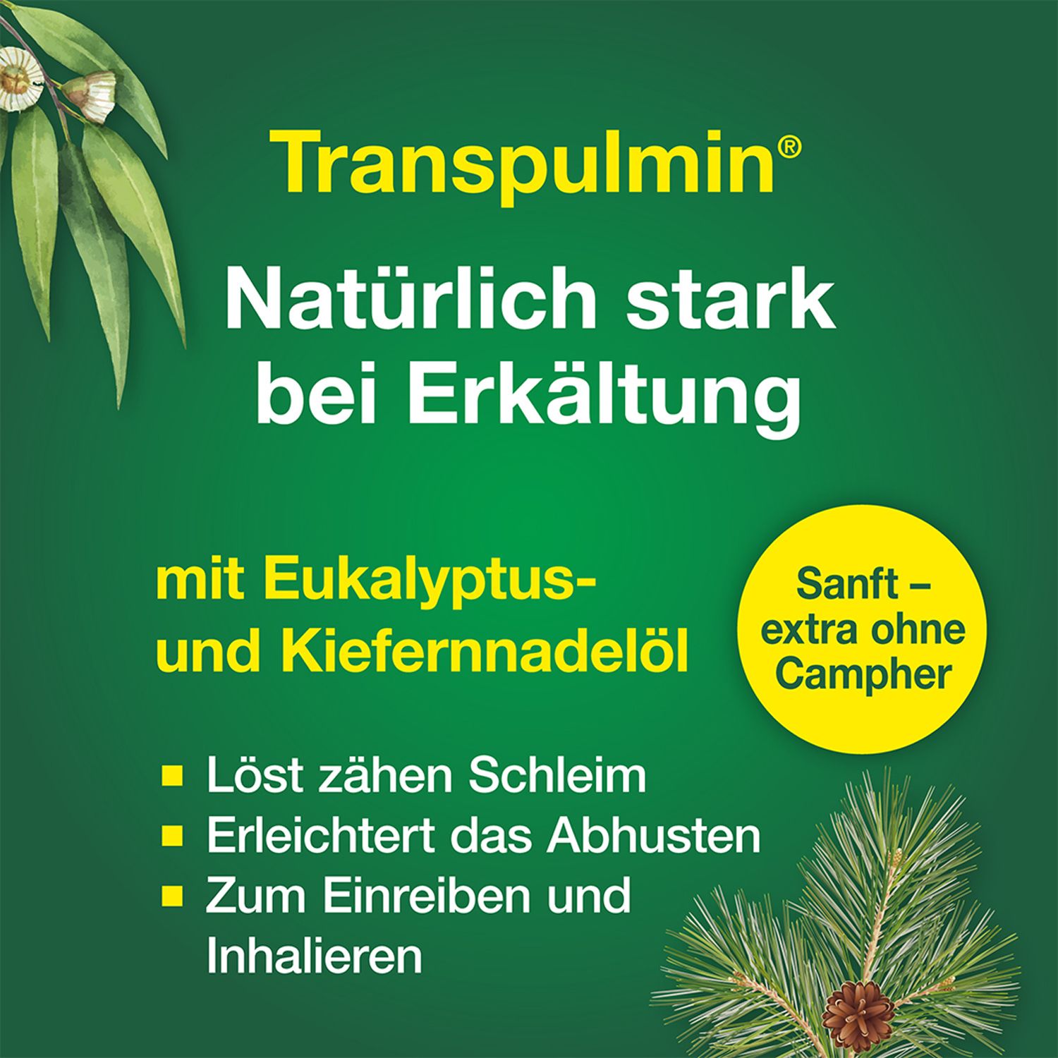 Transpulmin Erkältungsbalsam für Kinder: Wohltuender Balsam zur Anwendung bei Erkältung, Husten und Schnupfen