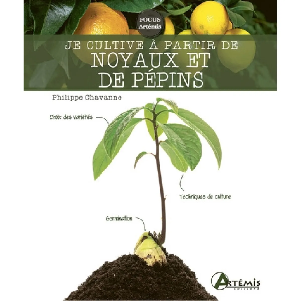 Je cultive à partir de noyaux et de pépins
