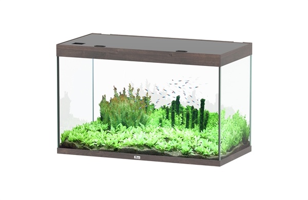 Aquatlantis Sublime 120x60 aquarium | Gloednieuw