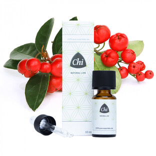 Chi Wintergreen Etherische Olie Wild 10ML