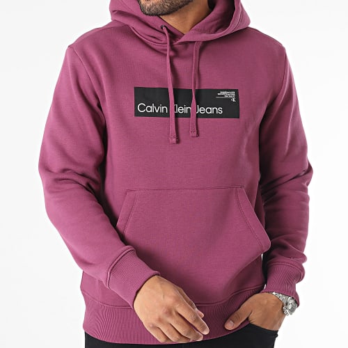 Sweat Capuche 4106 Violet