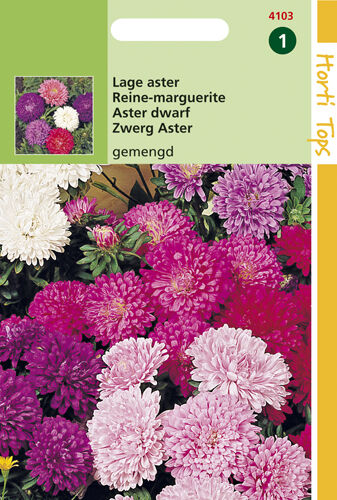 Hortitops Lage Aster Mixed - Bloemzaden