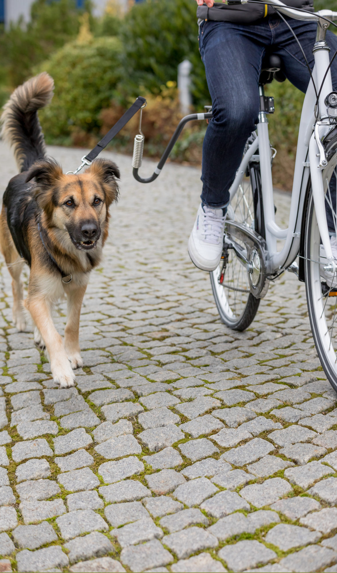 Biker Set U-Form Fahrrad Abstandhalter Velo Hunde Leine (12860) - Schwarz