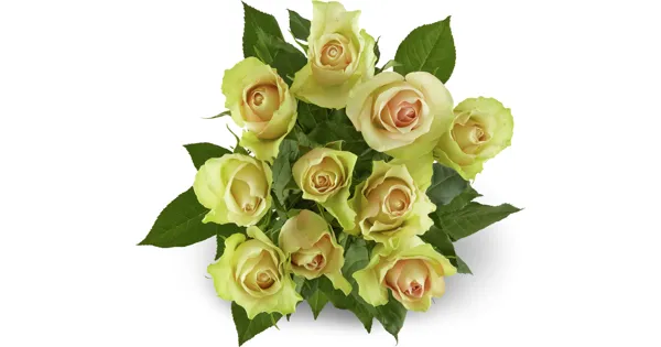 Rosen Grande, Fairtrade