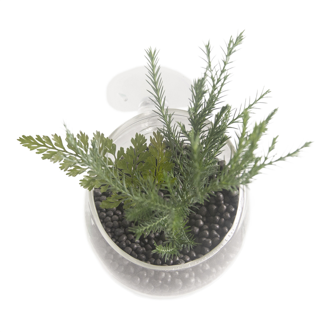 Aqua D'ella Glazen plantenpotje | Decoratie