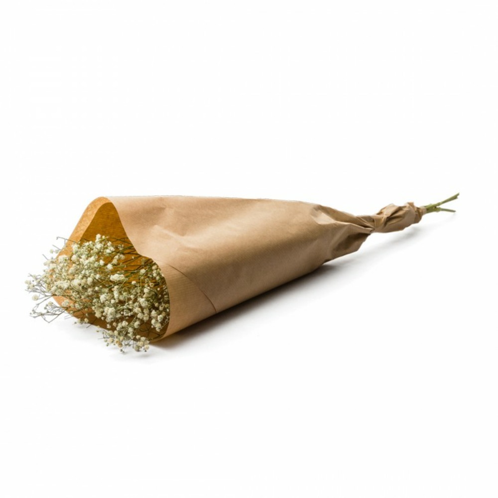 Botte de fleurs séchées gypsophile blanc