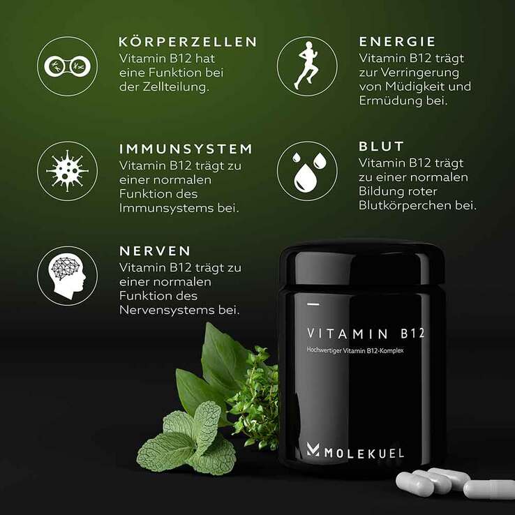 Molekuel Premium Vitamin B12-Komplex, 120 St