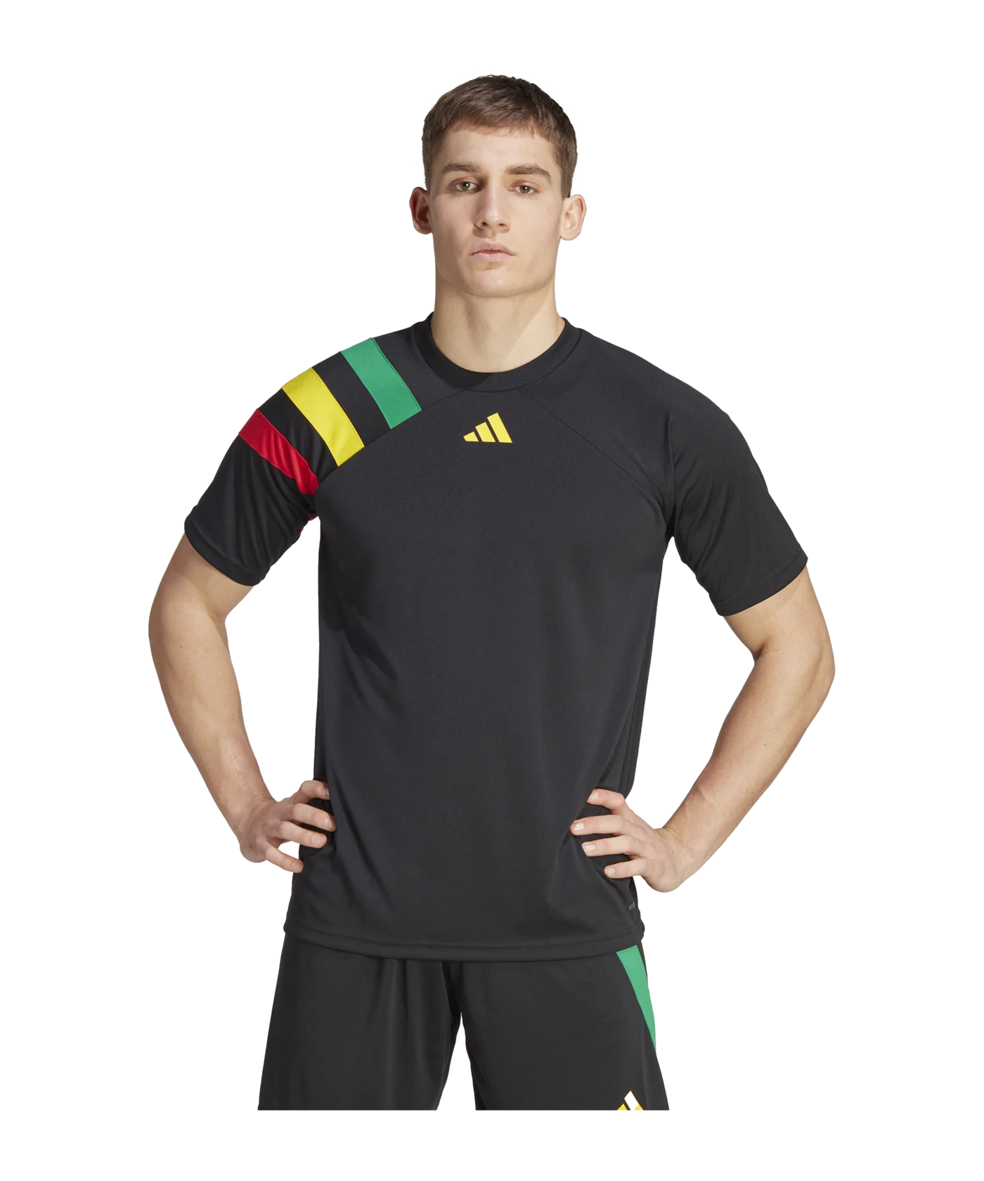adidas Fortore 23 Trikot Schwarz Grün Gelb