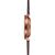 Sternglas Naos XL Automatik alabaster bronze S02-NX42-VI17