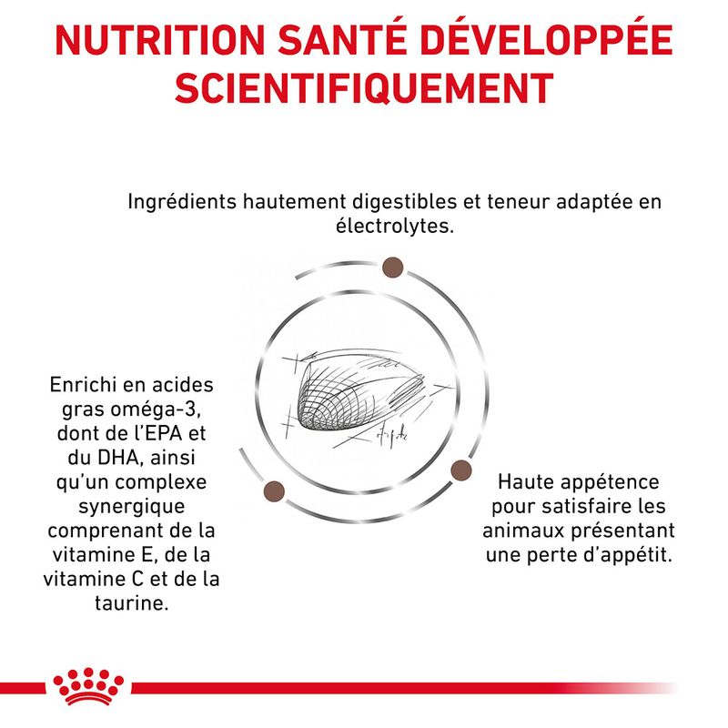 Royal Canin Veterinary - Gastro Intestinal sur bitiba.fr
