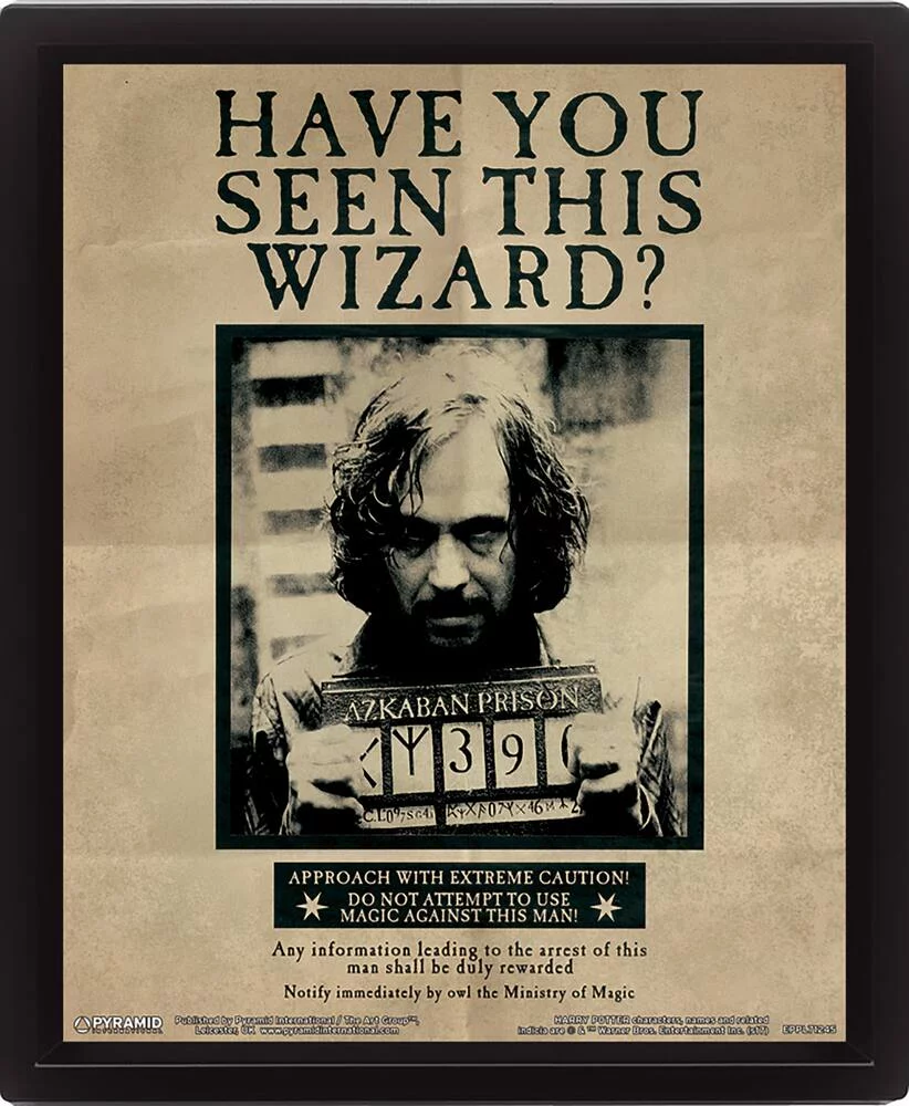 HARRY POTTER - CADRE 3D LENTICULAIRE SIRIUS BLACK