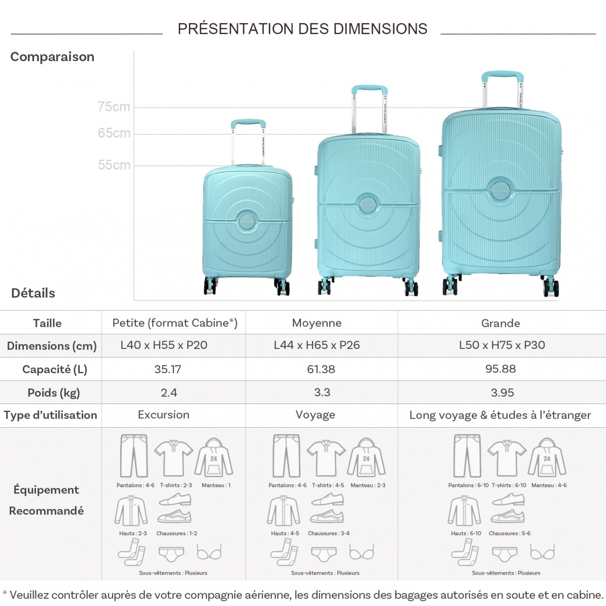 David Jones Lot 3 valises rigides dont 1 valise cabine David Jones TSA PETE