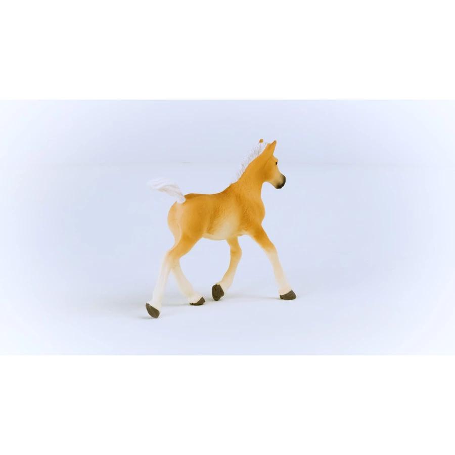 schleich® Haflinger Fohlen 13951