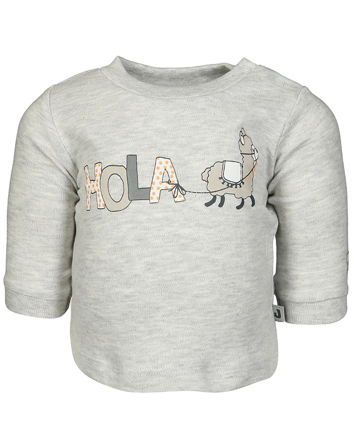 Langarmshirt HOLA LAMA in hellgrau melange