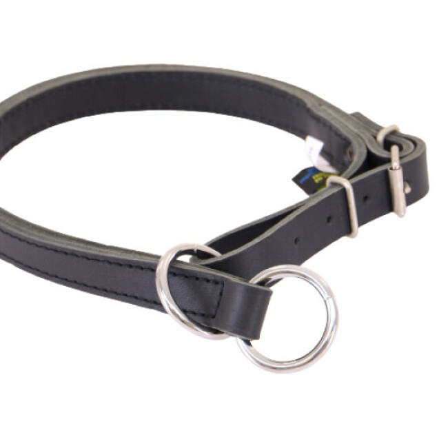 Collier en cuir pour chien