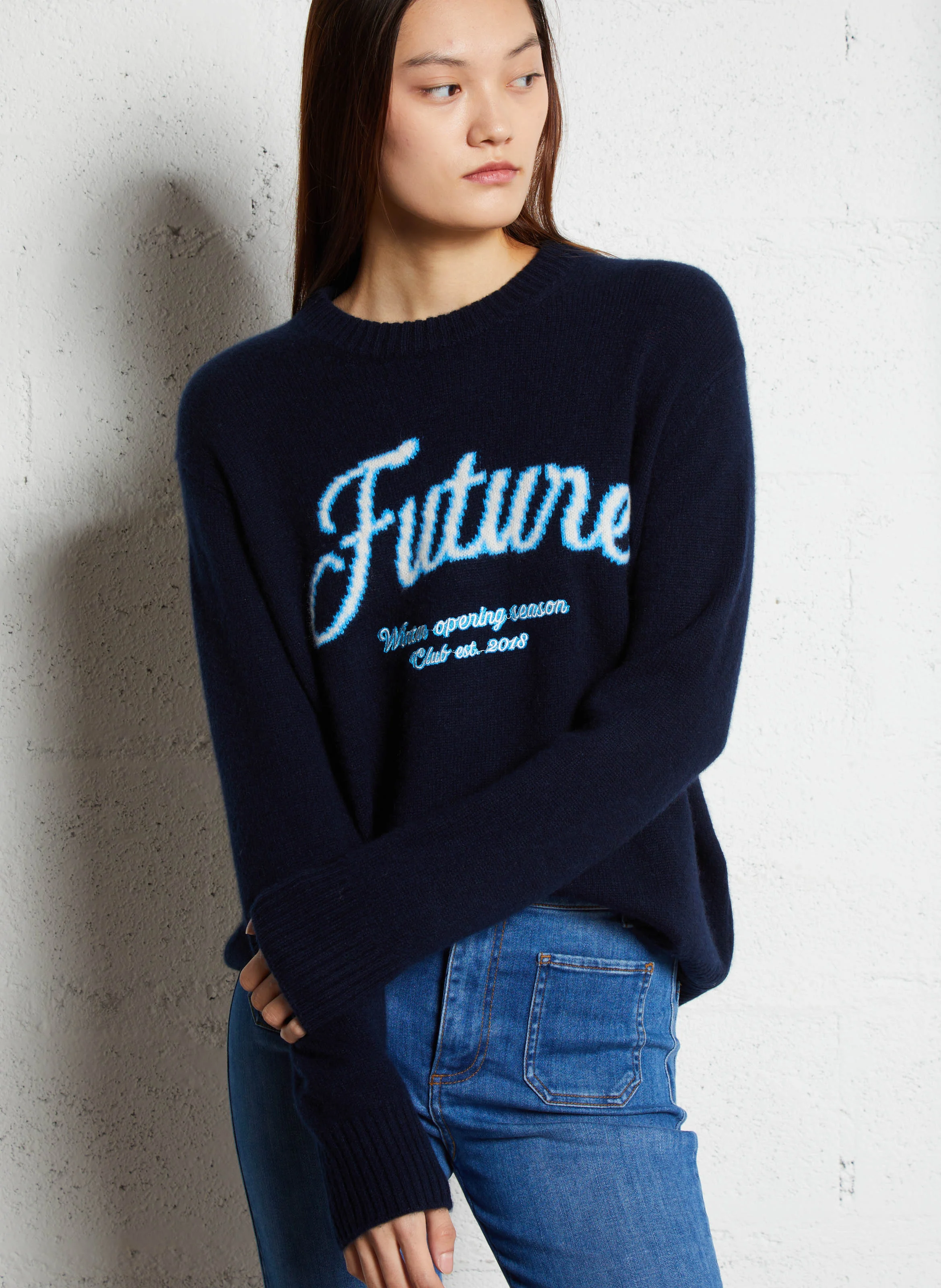 Pull col rond brodé en cachemire | Bleu